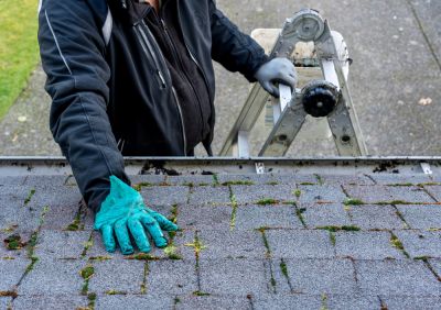 Roof Moss Removal Pros