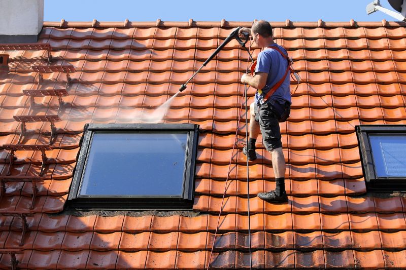 How Roof Cleaning Extends Shingle Lifespan