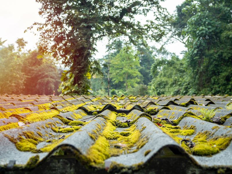Roof Moss Removal