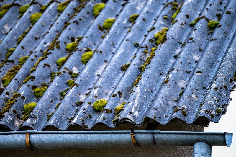 Roof Moss Removal