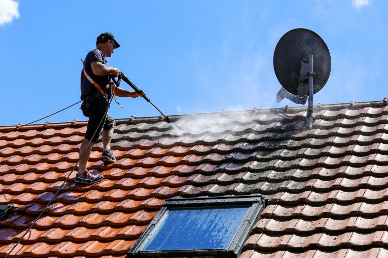 How Roof Cleaning Extends Shingle Lifespan