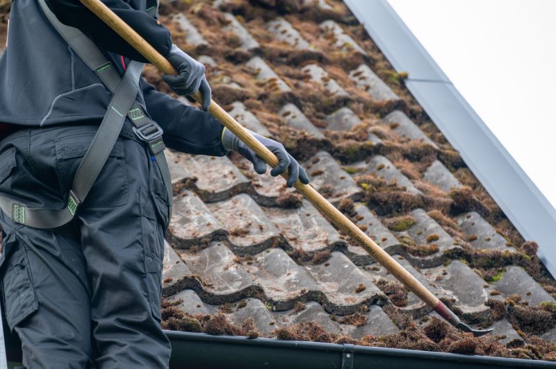 Roof Moss Removal Process