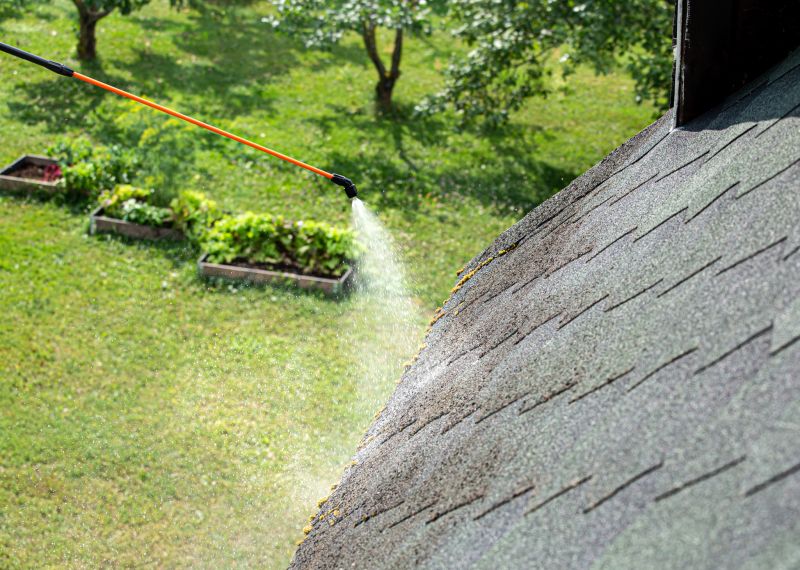 Preventative Roof Treatments